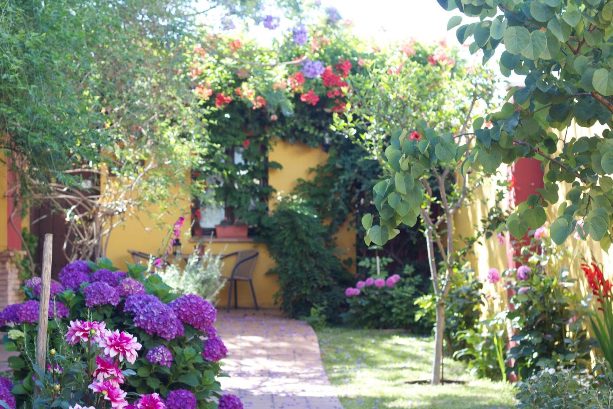 Hotel Donana Blues Matalascañas Extérieur photo